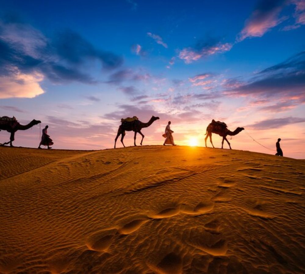 chamelier-indien-chamelier-silhouettes-chameau-dans-dunes-au-coucher-du-soleil-jaisalmer-rajasthan-inde_163782-2277